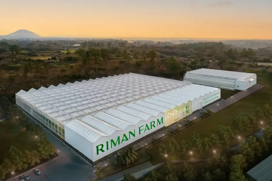 RIMAN Farm: invernadero inteligente de 14.800 m² donde RIMAN cultiva su centella asiática gigante en la isla de Jeju (Corea del Sur)